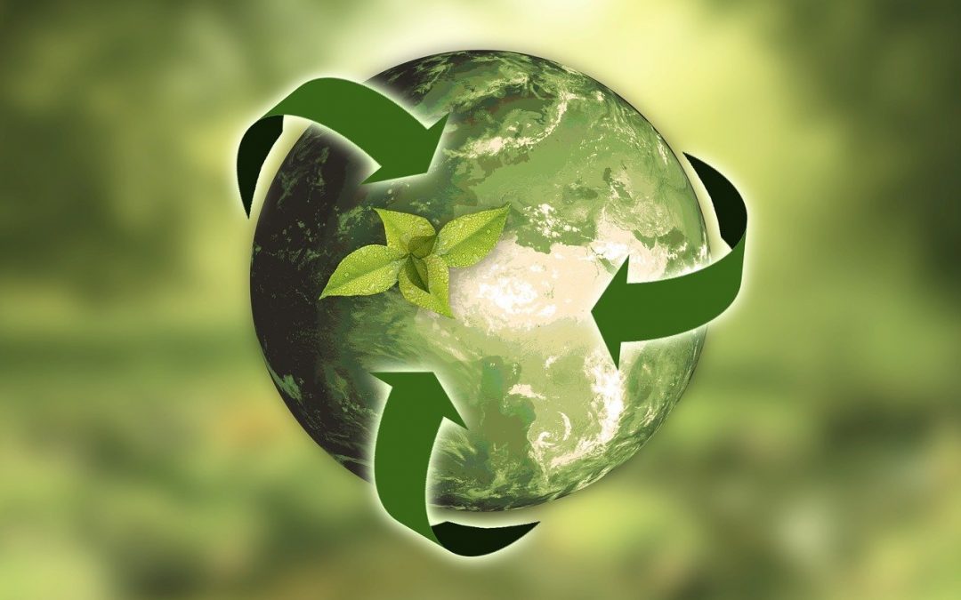 Käytöstä poistettavien kalusteiden kierrätystä tehostetaan Elina Mälkiän aloitteen pohjalta